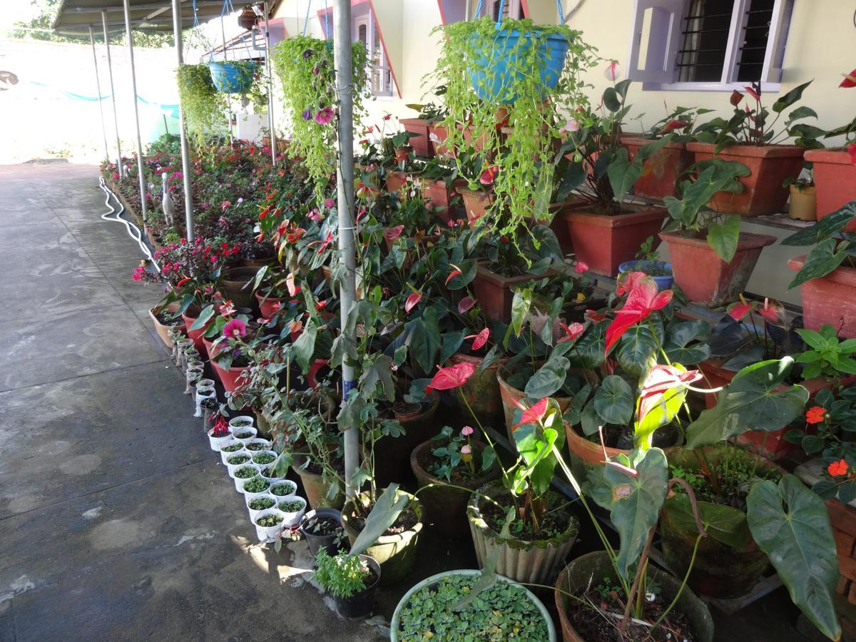 Cauvery Suites Madikeri Exterior photo